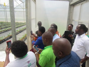 AAA members were also explained the greenhouse operations